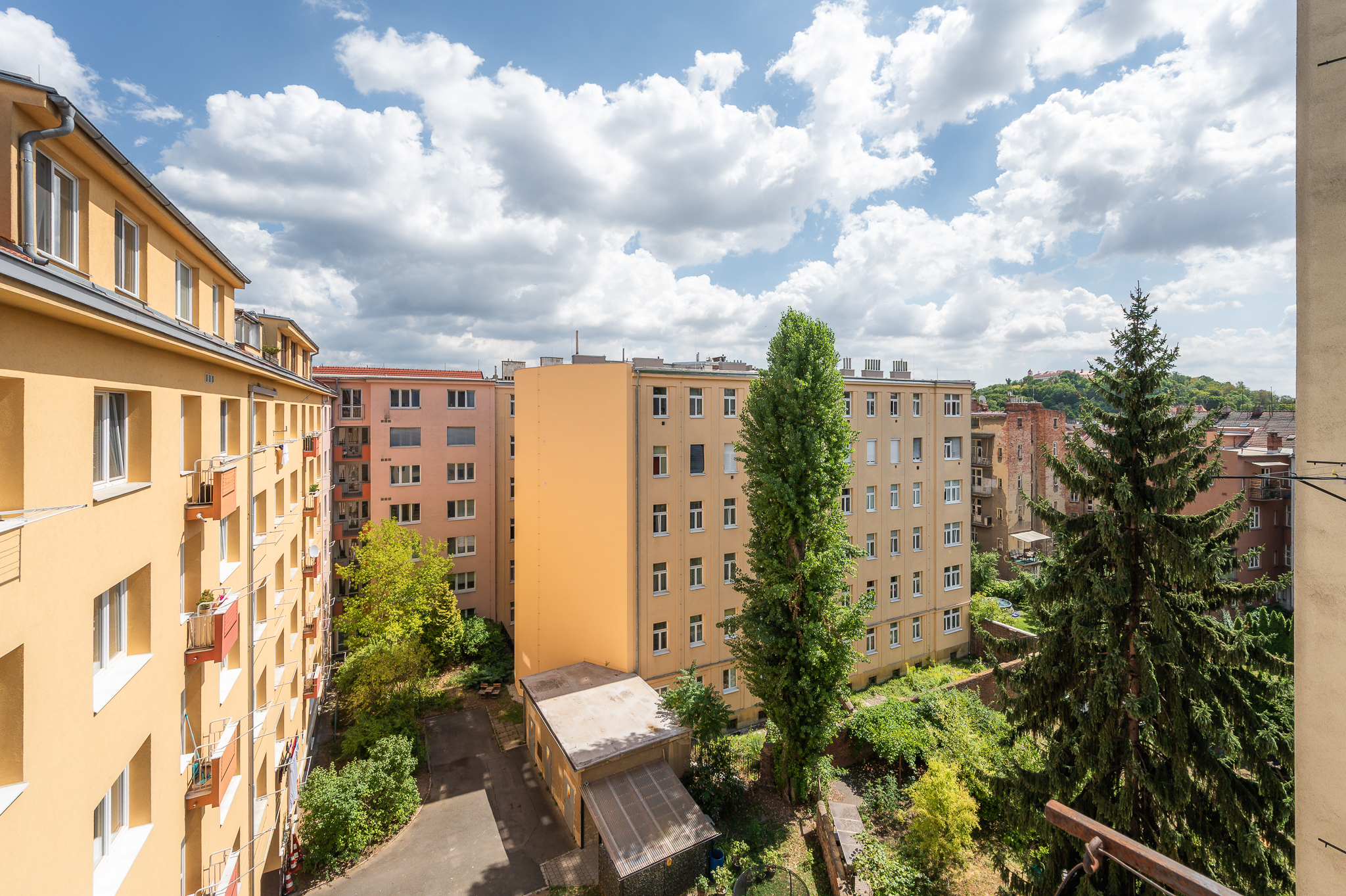 Byt 2+1, Stojanova - Brno - foto 17